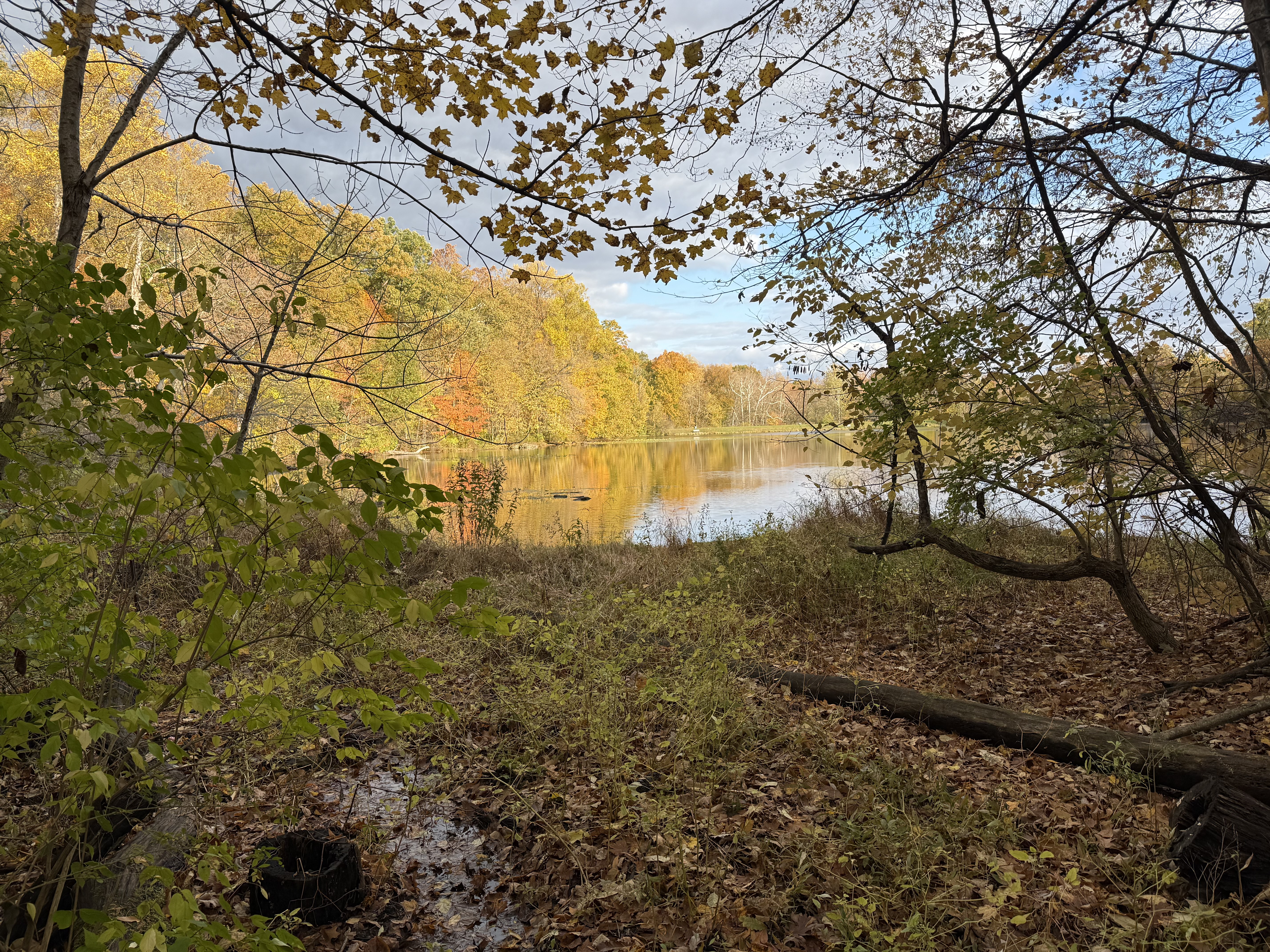 A view of the lake at George Rogers Clark Park, surrounded by trees with autumn foliage.
